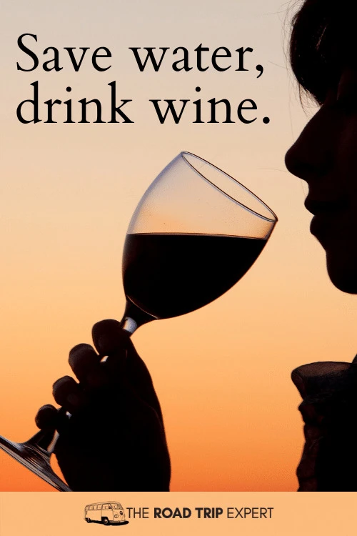 100 Incredible Wine Captions for Instagram (With Puns!)