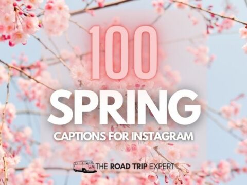 100 Spectacular Spring Captions for Instagram
