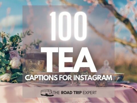 100 Incredible Tea Captions for Instagram (Plus Chai Quotes)