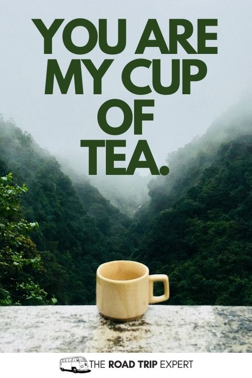 Tea Captions for Instagram