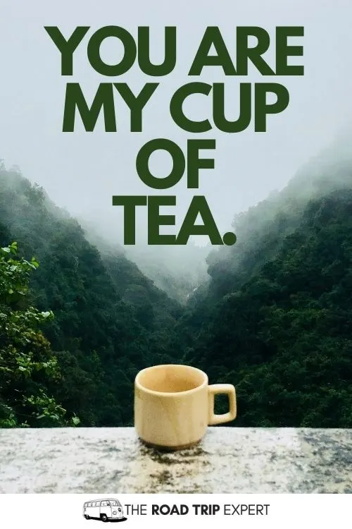 100 Delicious Tea Captions for Instagram (Funny Quotes!)