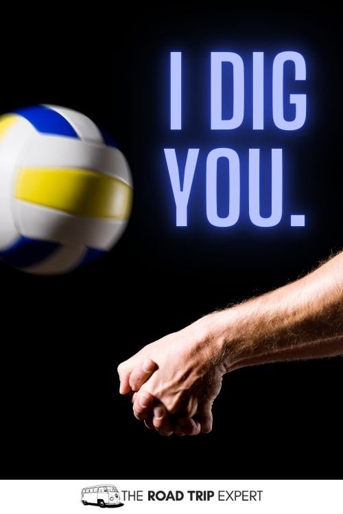 Volleyball Puns for Captions