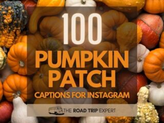 Pumpkin Patch Captions for Instagram featured image