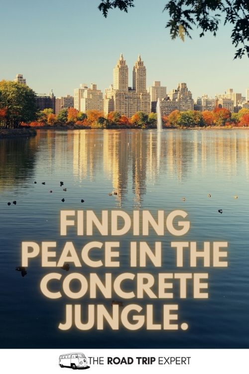 Central Park Captions for Instagram