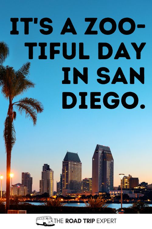 San Diego Slogans
