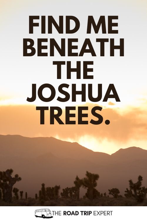 Joshua Tree Captions