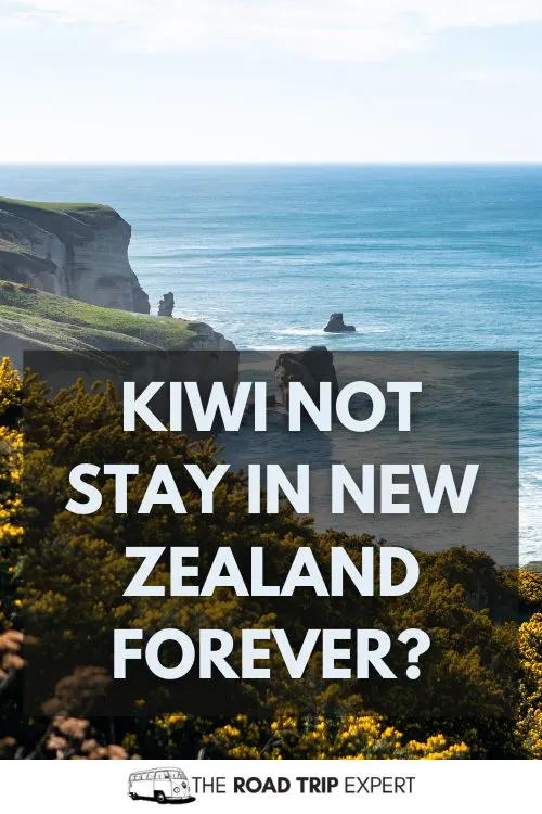 New Zealand Instagram Captions