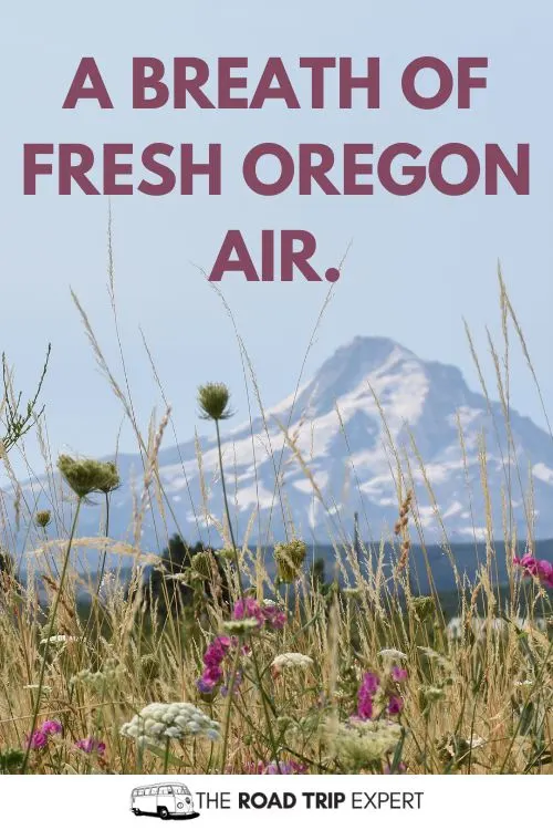 Oregon Insta Captions
