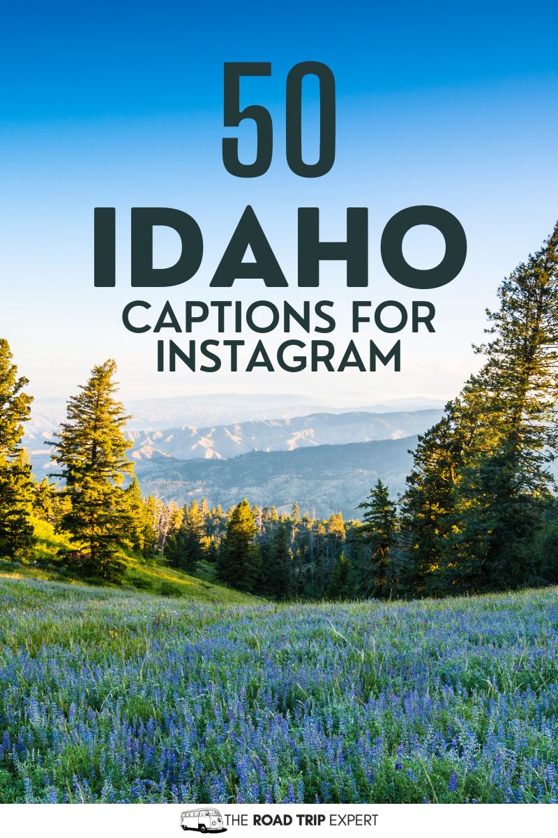 Idaho Captions for Instagram pinterest pin