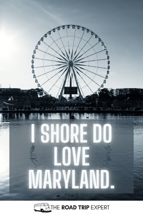 Maryland Puns for Instagram