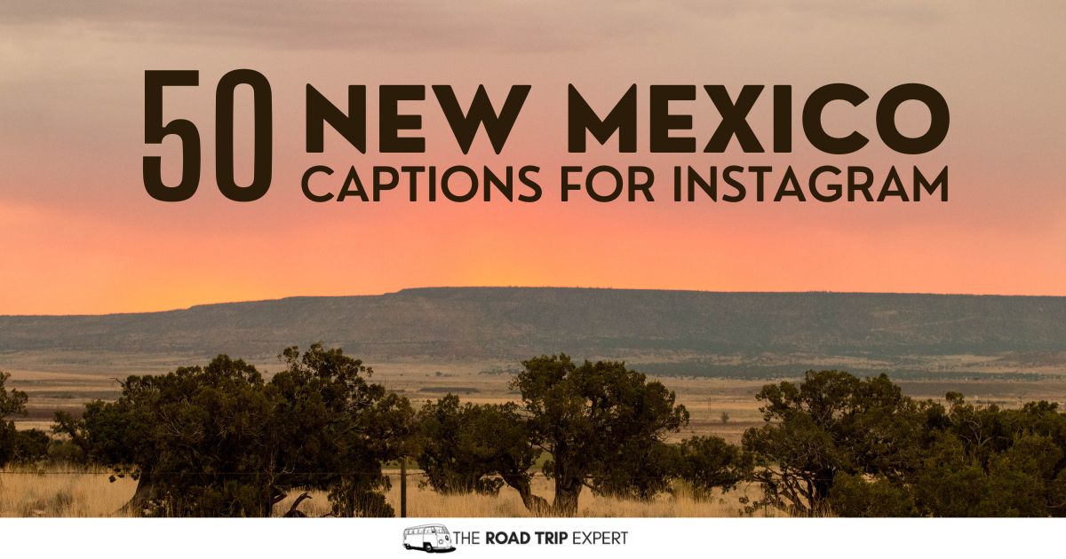 50 Superb New Mexico Captions for Instagram (With Quotes!)