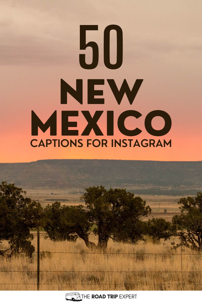 New Mexico Captions for Instagram pinterest pin