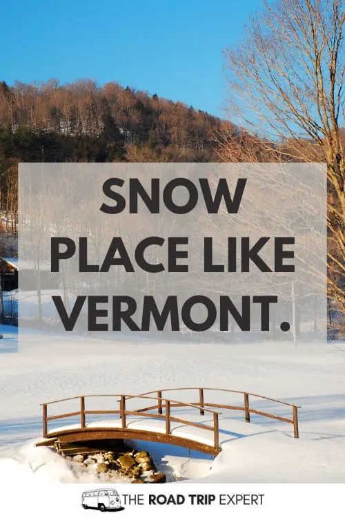 Vermont Puns for Instagram
