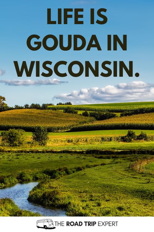 Wisconsin Puns for Instagram