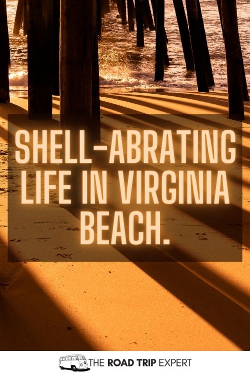 Virginia Beach Puns for Instagram