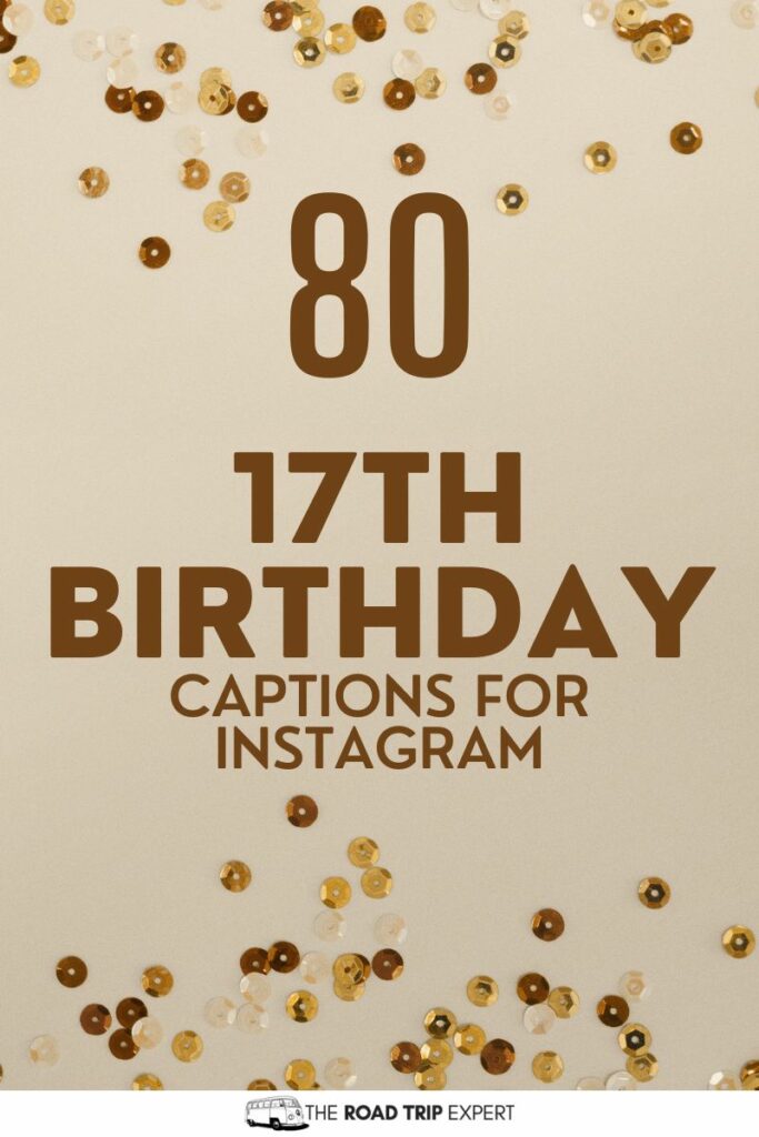 17th Birthday Captions for Instagram pinterest pin
