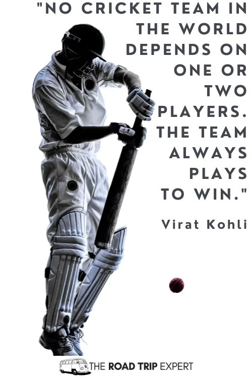 Cricket Lovers Quotes