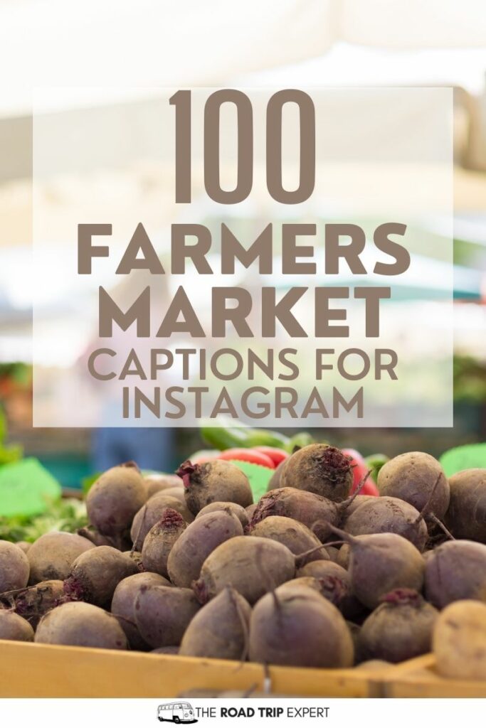 Farmers Market Captions for Instagram Pinterest pin