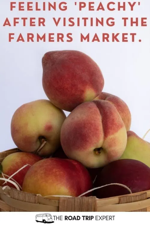 Farmers Market Puns for Instagram