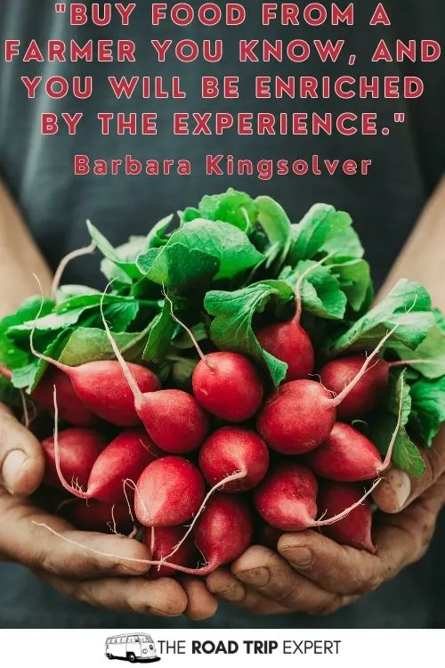 Farmers Market Quotes for Instagram