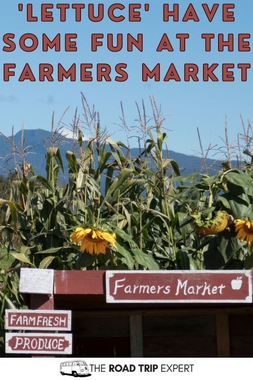 Funny Farmers Market Captions