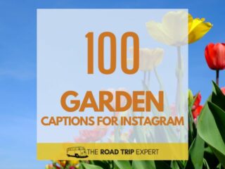 Garden Captions for Instagram featured image