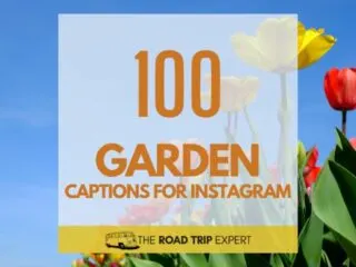 Garden Captions for Instagram featured image