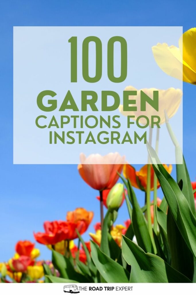 Garden Captions for Instagram Pinterest pin