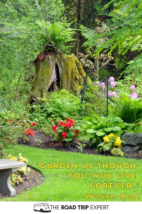 Garden Quotes for Instagram