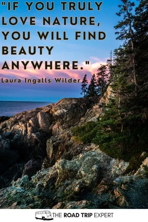 National Park Quotes for Instagram