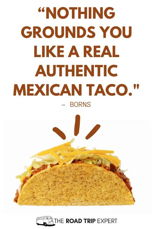 Taco Quotes for Instagram